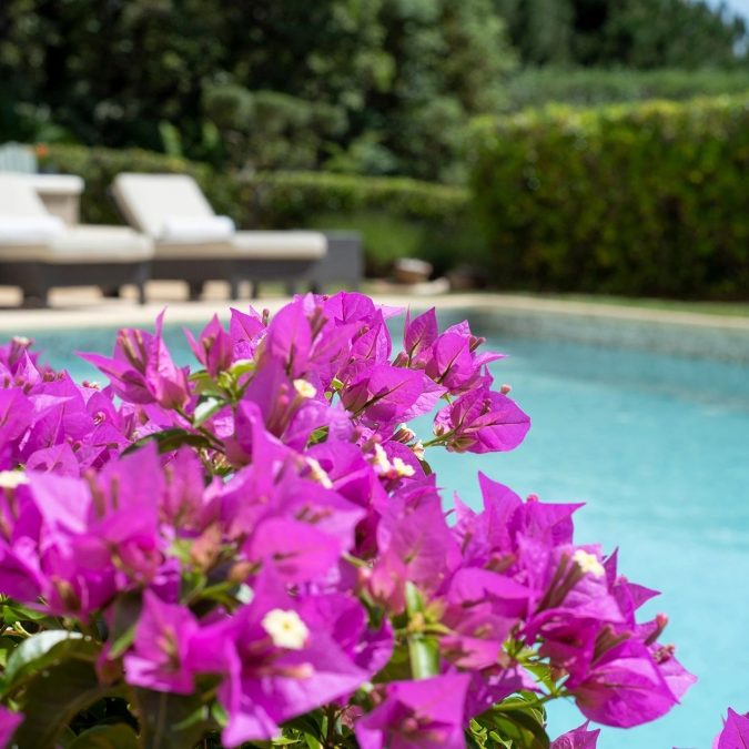 Villa Cedres (15)